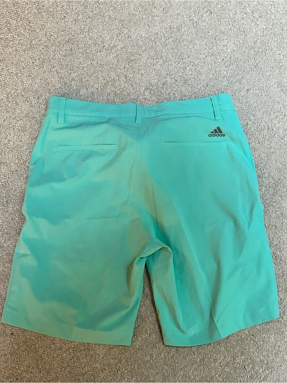 adidas Men's Teal Athletic Golf Shorts